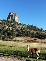 Devil tower (16).JPG